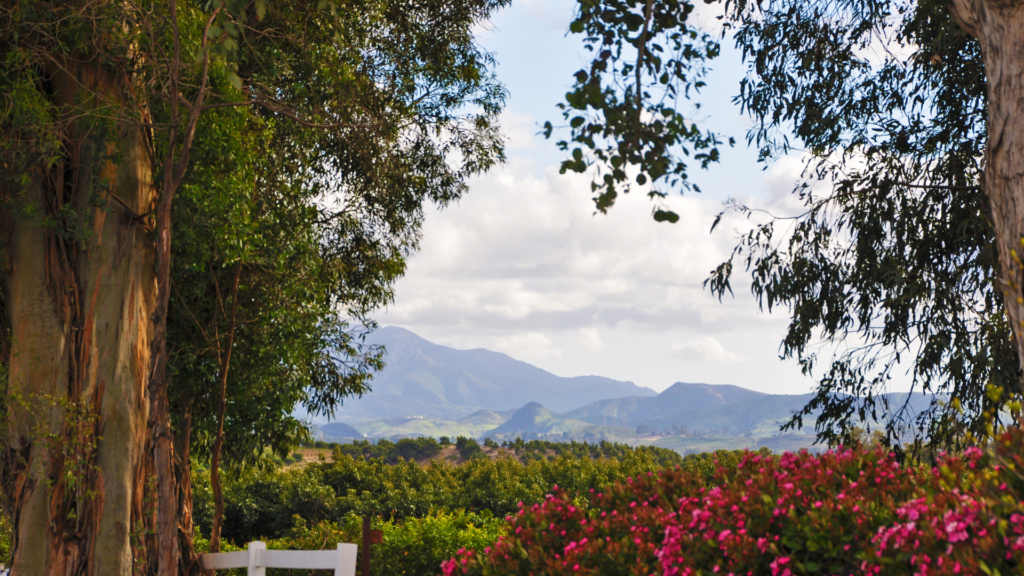 Pediatric Therapy in Moorpark image