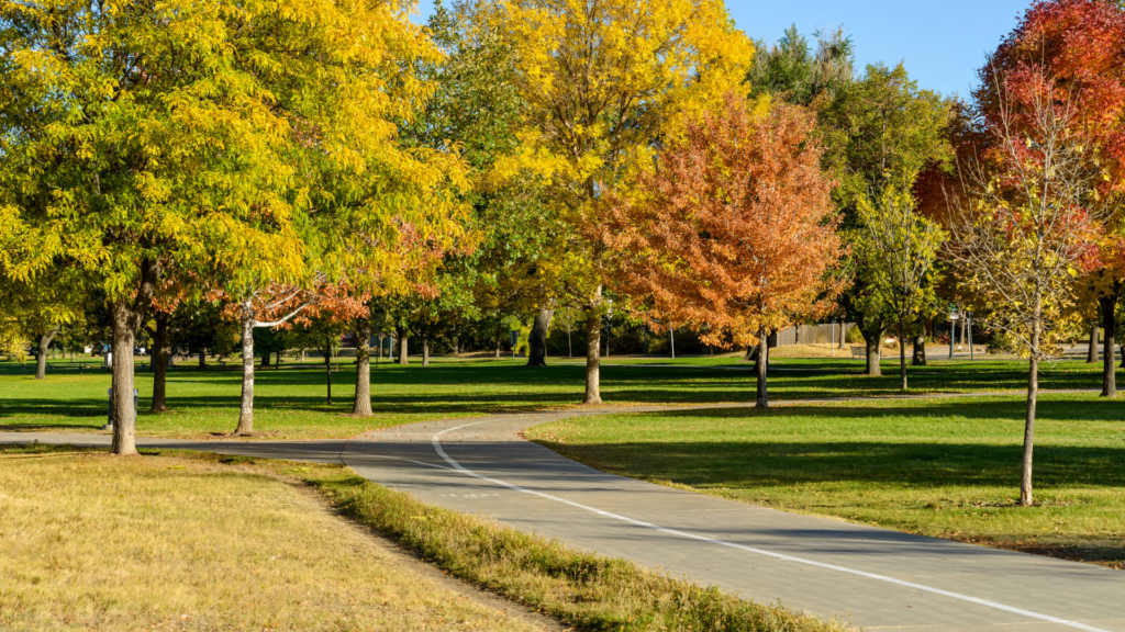 Pediatric Therapy in Newbury Park image