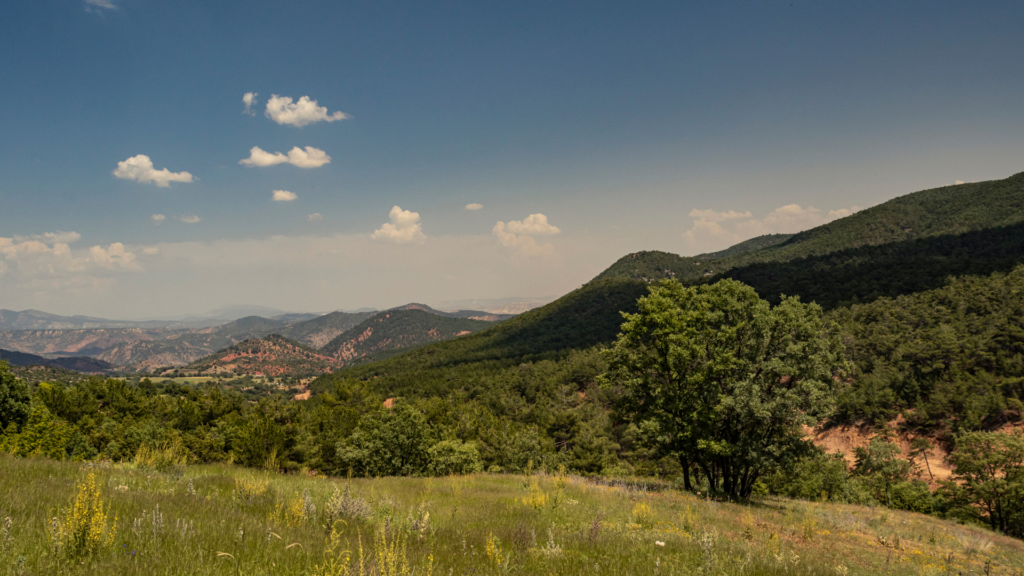 Pediatric Therapy in West Hills image