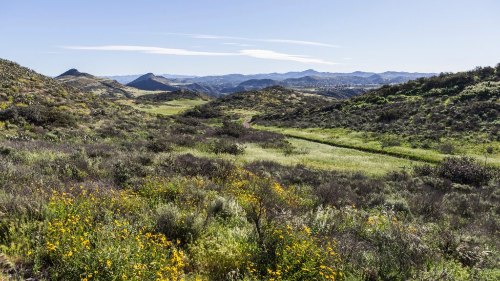 Speech and Occupational Therapy in Newbury Park near me 1024x576