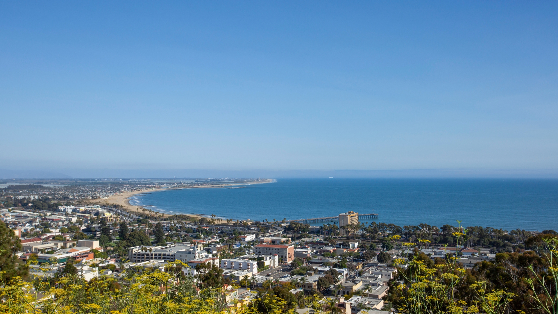 In-home pediatric speech and occupational therapy session with a Simi Valley family
