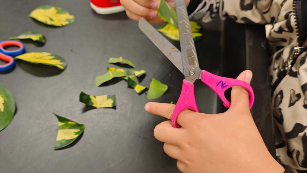 10 Signs Your Child Could Benefit from Fine Motor Skill Developmental Therapy